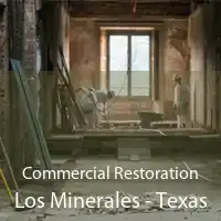 Commercial Restoration Los Minerales - Texas