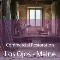 Commercial Restoration Los Ojos - Maine
