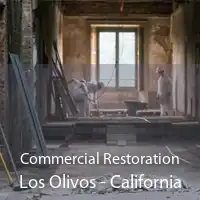 Commercial Restoration Los Olivos - California