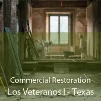 Commercial Restoration Los Veteranos I - Texas