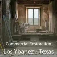 Commercial Restoration Los Ybanez - Texas
