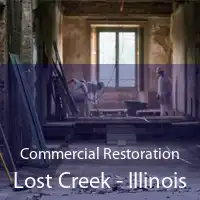 Commercial Restoration Lost Creek - Illinois
