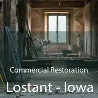 Commercial Restoration Lostant - Iowa
