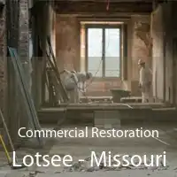 Commercial Restoration Lotsee - Missouri