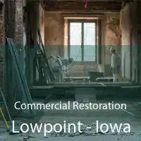 Commercial Restoration Lowpoint - Iowa