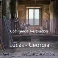 Commercial Restoration Lucas - Georgia