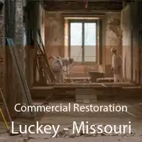 Commercial Restoration Luckey - Missouri
