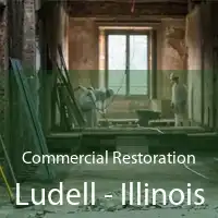 Commercial Restoration Ludell - Illinois