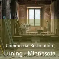 Commercial Restoration Luning - Minnesota