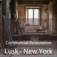 Commercial Restoration Lusk - New York