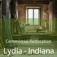 Commercial Restoration Lydia - Indiana
