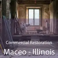 Commercial Restoration Maceo - Illinois