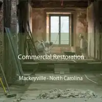 Commercial Restoration Mackeyville - North Carolina