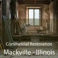 Commercial Restoration Mackville - Illinois