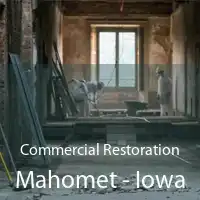 Commercial Restoration Mahomet - Iowa