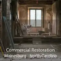 Commercial Restoration Mainesburg - North Carolina