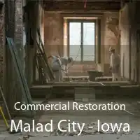 Commercial Restoration Malad City - Iowa
