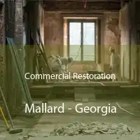 Commercial Restoration Mallard - Georgia