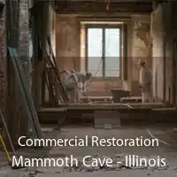 Commercial Restoration Mammoth Cave - Illinois