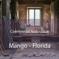 Commercial Restoration Mango - Florida