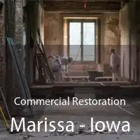 Commercial Restoration Marissa - Iowa