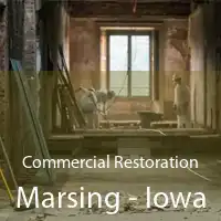 Commercial Restoration Marsing - Iowa