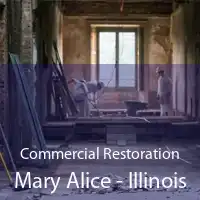Commercial Restoration Mary Alice - Illinois
