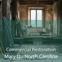 Commercial Restoration Mary D - North Carolina