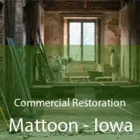 Commercial Restoration Mattoon - Iowa