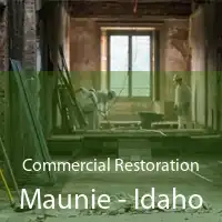 Commercial Restoration Maunie - Idaho