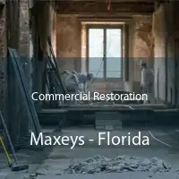 Commercial Restoration Maxeys - Florida