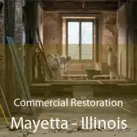 Commercial Restoration Mayetta - Illinois
