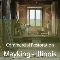 Commercial Restoration Mayking - Illinois