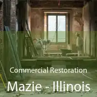 Commercial Restoration Mazie - Illinois