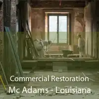 Commercial Restoration Mc Adams - Louisiana