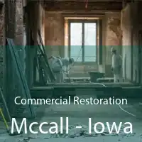 Commercial Restoration Mccall - Iowa
