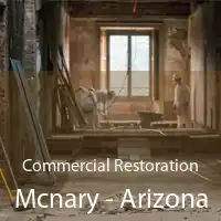 Commercial Restoration Mcnary - Arizona
