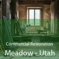 Commercial Restoration Meadow - Utah