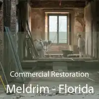 Commercial Restoration Meldrim - Florida