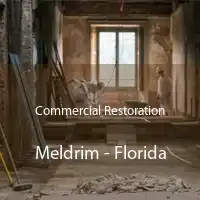 Commercial Restoration Meldrim - Florida