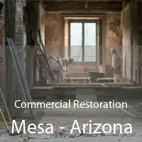 Commercial Restoration Mesa - Arizona