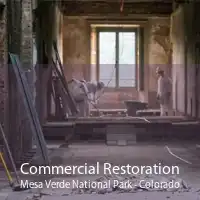 Commercial Restoration Mesa Verde National Park - Colorado