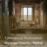 Commercial Restoration Mexican Springs - Maine