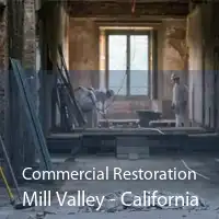 Commercial Restoration Mill Valley - California