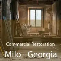 Commercial Restoration Milo - Georgia