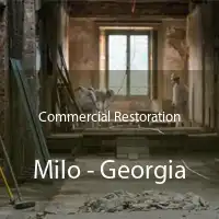 Commercial Restoration Milo - Georgia