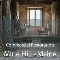 Commercial Restoration Mine Hill - Maine
