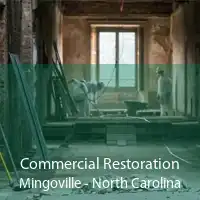 Commercial Restoration Mingoville - North Carolina