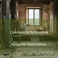 Commercial Restoration Mingoville - North Carolina