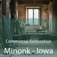 Commercial Restoration Minonk - Iowa